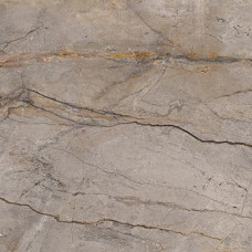 Плитка 59,55*59,55 Wild Forest Grey Polished