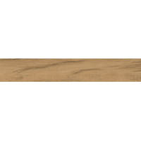Плитка 20*120 Revival Biondo Silktech Rett Elg9