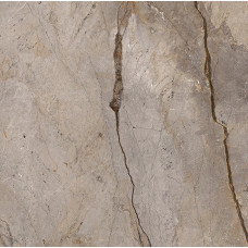 Плитка 119,3*119,3 Wild Forest Grey Natural Mix