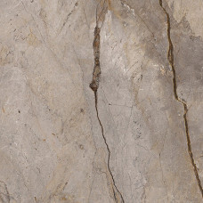 Плитка 119,3*119,3 Wild Forest Grey Natural Mix