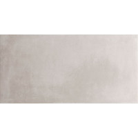 Плитка 60*120 Es.essen Ash Rect