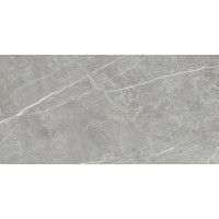 Плитка 60*120 Elite Gray Matt Rec