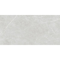 Плитка 60*120 Elite Silver Matt Rec
