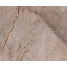 Плитка 119,3*119,3 Wild Forest Grey Polished Mix