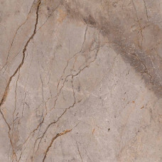Плитка 119,3*119,3 Wild Forest Grey Polished Mix