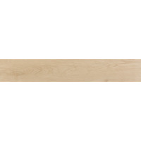 Плитка 20*120 Evoque Arce