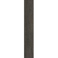 Плитка 20*120 Elisir Touch Ebanite Matt Rect J740