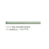 Бордюр 1*19,9 Ing.joia Mint 43070