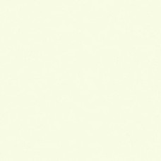 Плитка 100*300 Basic Blanco Nat. 5,6 Mm