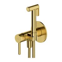 гігієнічний набір Omnires Y brushed brass (SYSYBI2BSB)