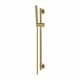 душовий гарнітур Omnires Microphone gold (MICROPHONE-SGL)