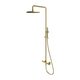 душова система Omnires Y brushed brass (Y1244MBSB)