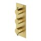 термостат для душу та ванни Omnires Y прихованого монтажу brushed brass (Y1238-KROBSB)