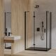 душова кабіна Omnires Manhattan 80х100см безпечне скло чорний матовий (MH8010BLTR)