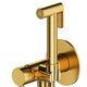 система для біде Omnires Y brushed gold (SYSYBI2GLB)