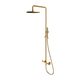 душова система з термостатом Omnires Y brushed gold (Y1244MGLB)