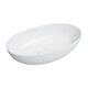 умивальник Omnires Shell 60x35 white matt (SHELLUNBM)