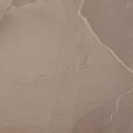 PASSION LUX 60 TAUPE 60x60
