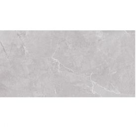 Teneza light grey glossy 60x30