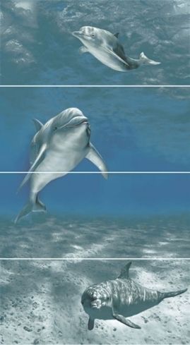 Decor Delfin-4 (Декор Дельфин)