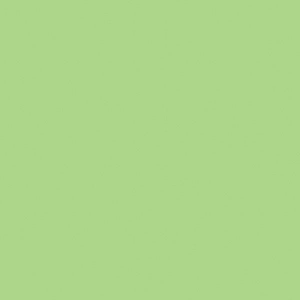 Калейдоскоп зеленый 5111