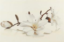 ДекорFlora Magnolia 300x450х9