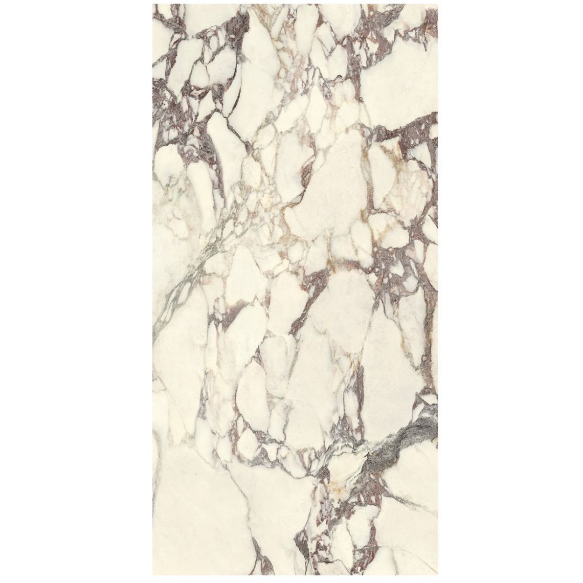 Marble Lab, Breccia Mirabile, Lucidato 120x60 8mm (AL282X864)