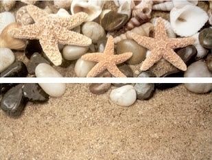 Set Starfish (Сет Старфиш)