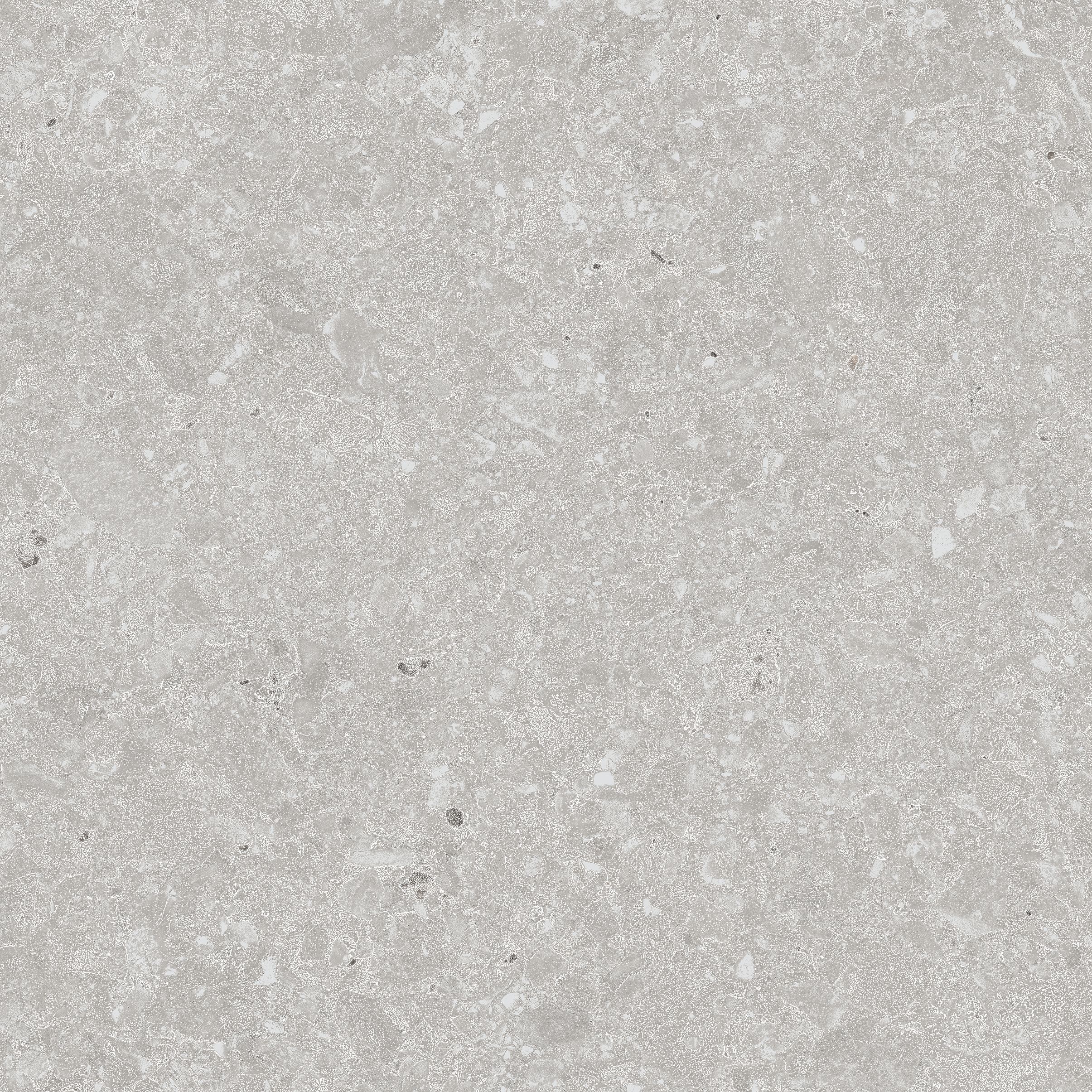 Terazzo Grey F P NR Mat 47x47