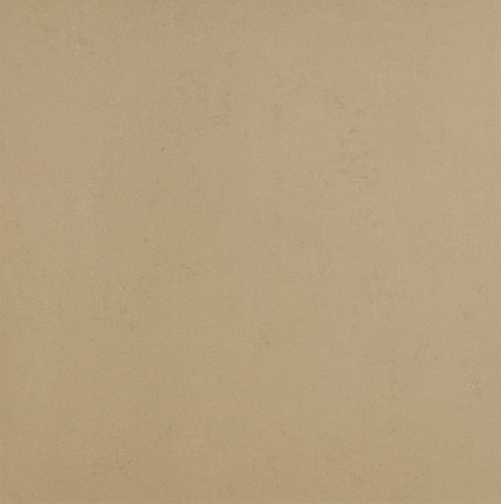 Beige t24 _ lt24