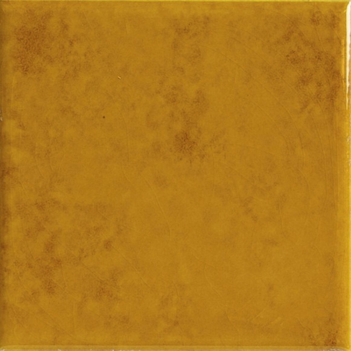 GENUINE AMBER 10X10