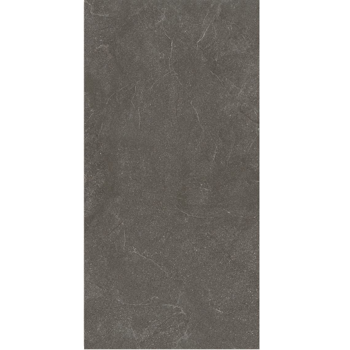 Rare Stone, Dark Grey 60x120 (KFEZ)