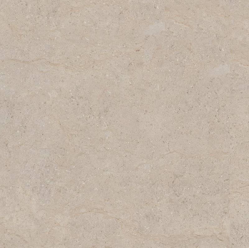 59,5*59,5 Hudson Beige