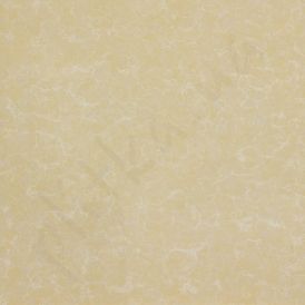 Poter Polished Tiles 6V009