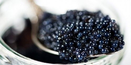 Black Caviar 03 (Блэк Кавьяр)