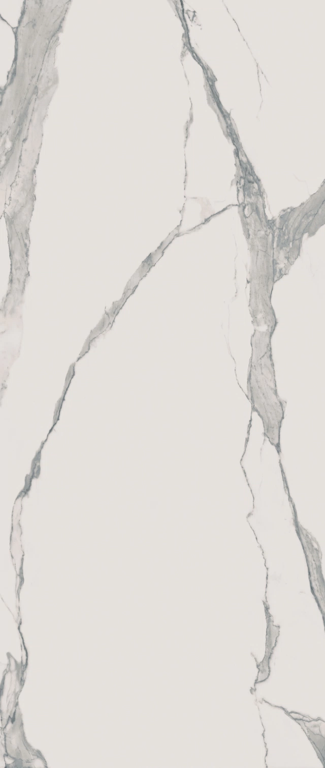 Marble Statuario 780670