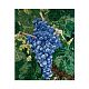 1-12061 панно виноград Mozaico de Lux Панно