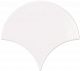 Bondi Fan White 13,4x15